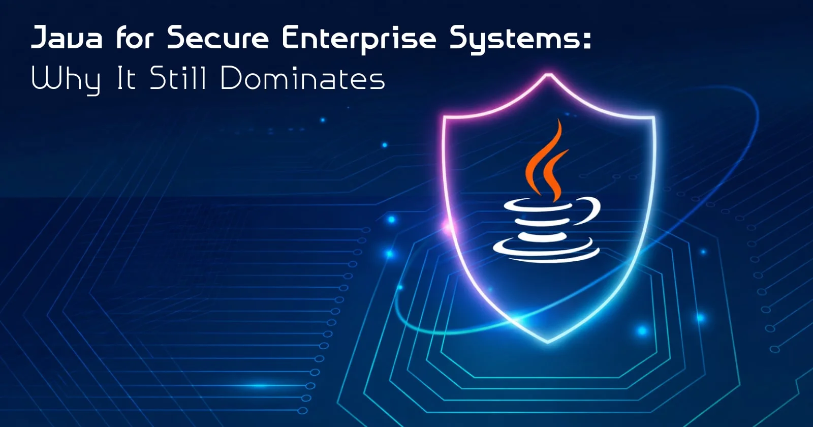 Java for Secure Enterprise Systems: Why It Still Dominates